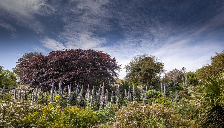 Gardens of style