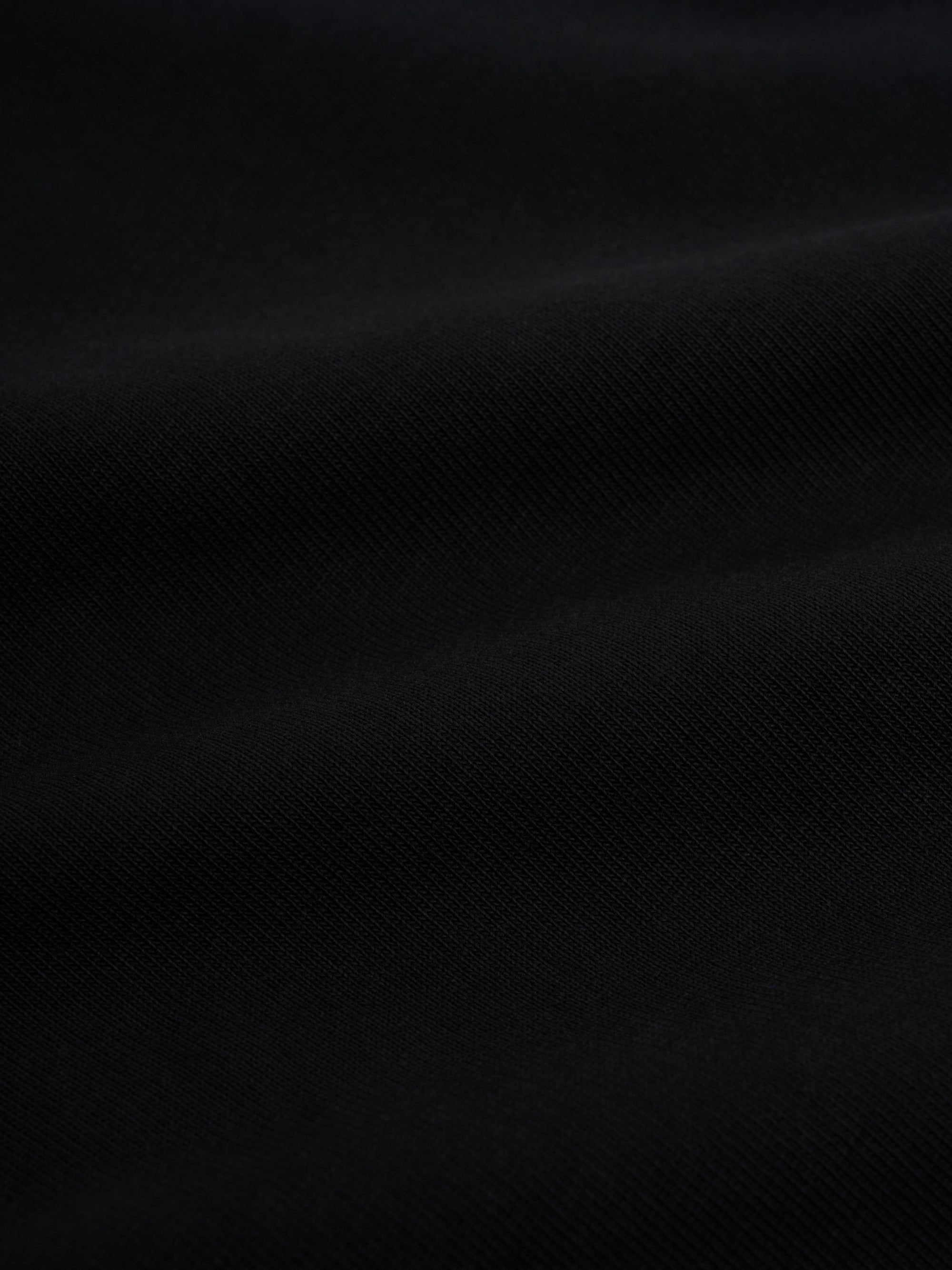 Heavy Long Sleeve T-Shirt Parton Black